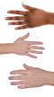 2937818 hand