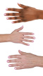 2937819 hand