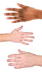 2940812 hand