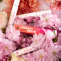 Eyelash Serum reklambild 5