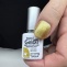 29101130 Golden Record swatch 510x510